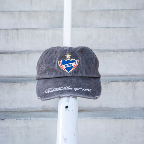 B.93 Cap Faded Brown